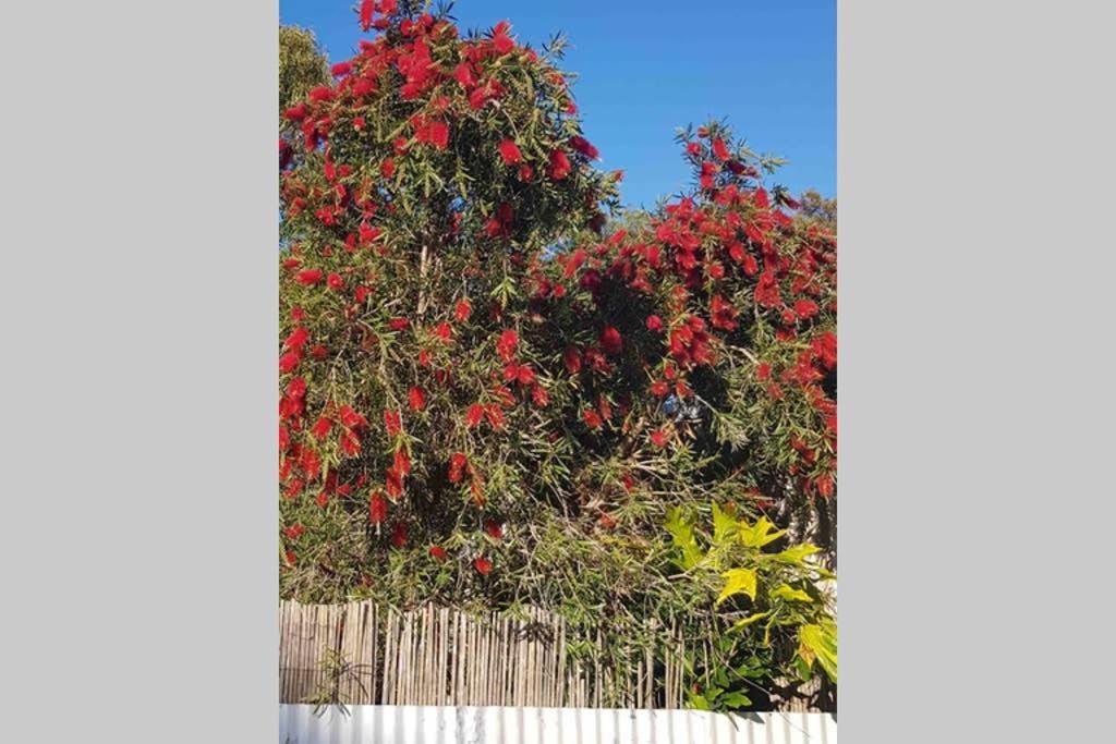 Leeward 'Tranquil Beachfront' Kingscote Exterior foto